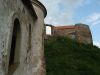 P6042250.JPG
