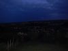 DSCN0287.jpg