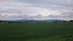 DSC_0024.jpg