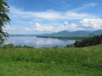 IMG_0499.jpg