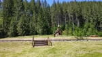 IMG_20230603_131445.jpg